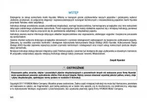 Hyundai-Kona-instrukcja-obslugi page 4 min