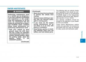 Hyundai-i30-III-3-owners-manual page 520 min