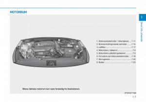 Hyundai-i30N-Performance-Bilens-instruktionsbog page 17 min