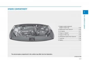 Hyundai-i30N-Performance-owners-manual page 18 min