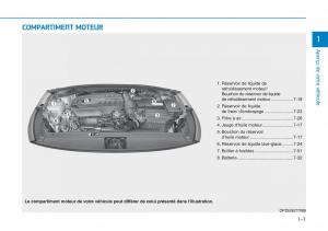 Hyundai-i30N-Performance-manuel-du-proprietaire page 19 min