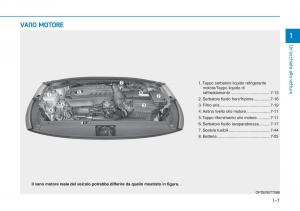 Hyundai-i30N-Performance-manuale-del-proprietario page 18 min