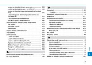 Hyundai-i30N-Performance-instrukcja-obslugi page 491 min