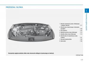 Hyundai-i30N-Performance-instrukcja-obslugi page 19 min