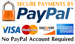 secure paypal